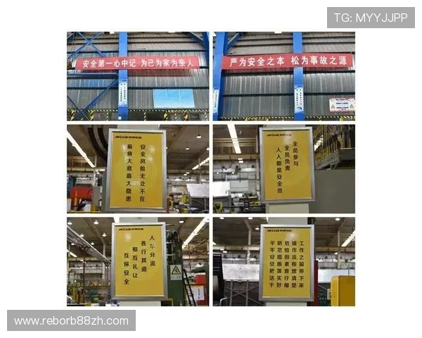 非凡体育平台的安全保障措施，确保用户信息与观看体验的双重安全